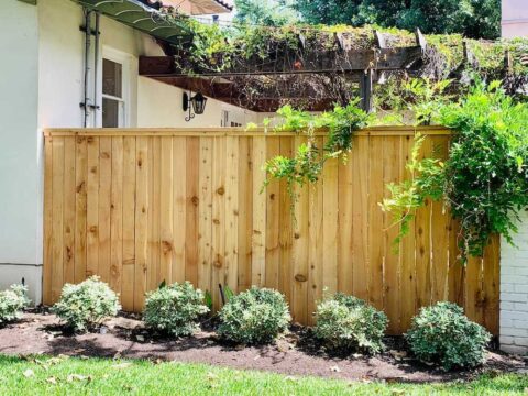Cedar wood fence with top cap and decorative climbing plants