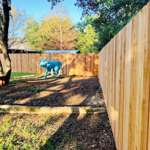 Wood fence with blue decorative cow in front