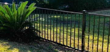 Three foot iron fencing around front yard