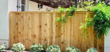 Six foot privacy fence with cap and trim and lots of lush greens growing around it