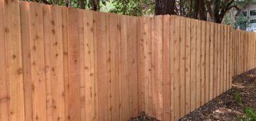Six foot board on board privacy fence built around existing tree