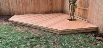 Cedar deck with a small tree growing through it