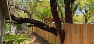 Six foot privacy fence built around an existing tree
