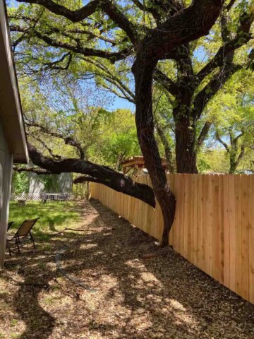 ix foot privacy fence built around an existing tree