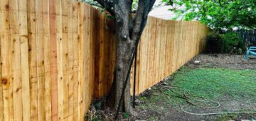 six foot privacy fence built around an existing tree