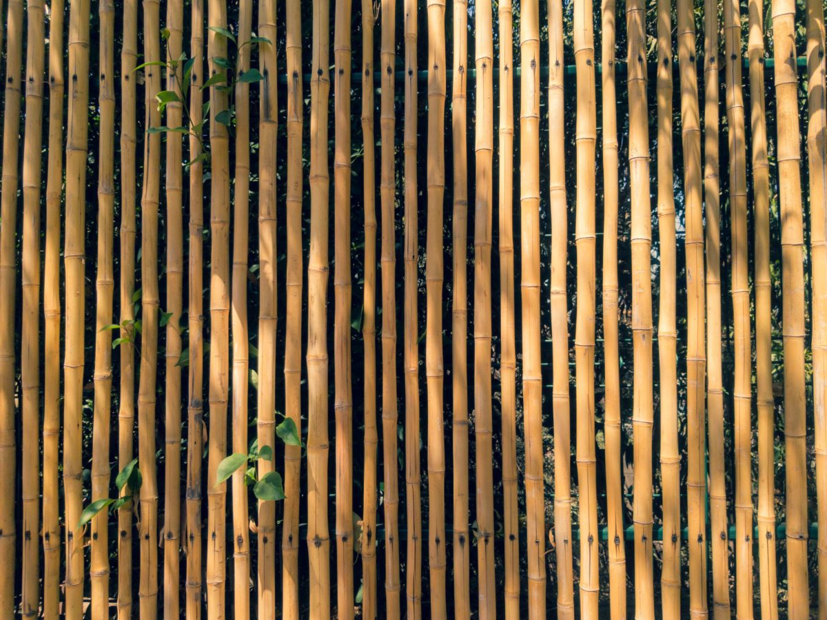 Tall bamboo vertical slatted fence adds privacy to a backyard. Some plants and greenery can be seen through the slats.