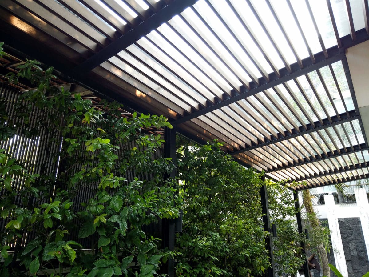 Green wall next to slatted wood patio cover with glass canopy and black beams
