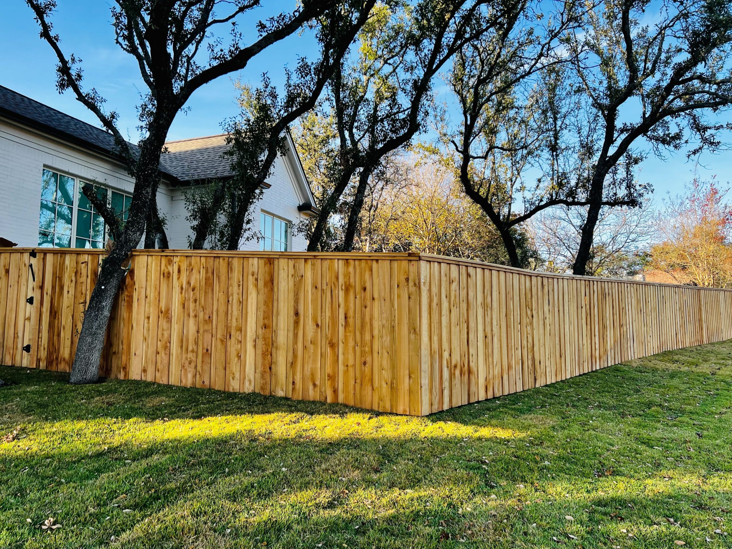Cedar wood fence in an Austin backyard with trees overlapping the fence