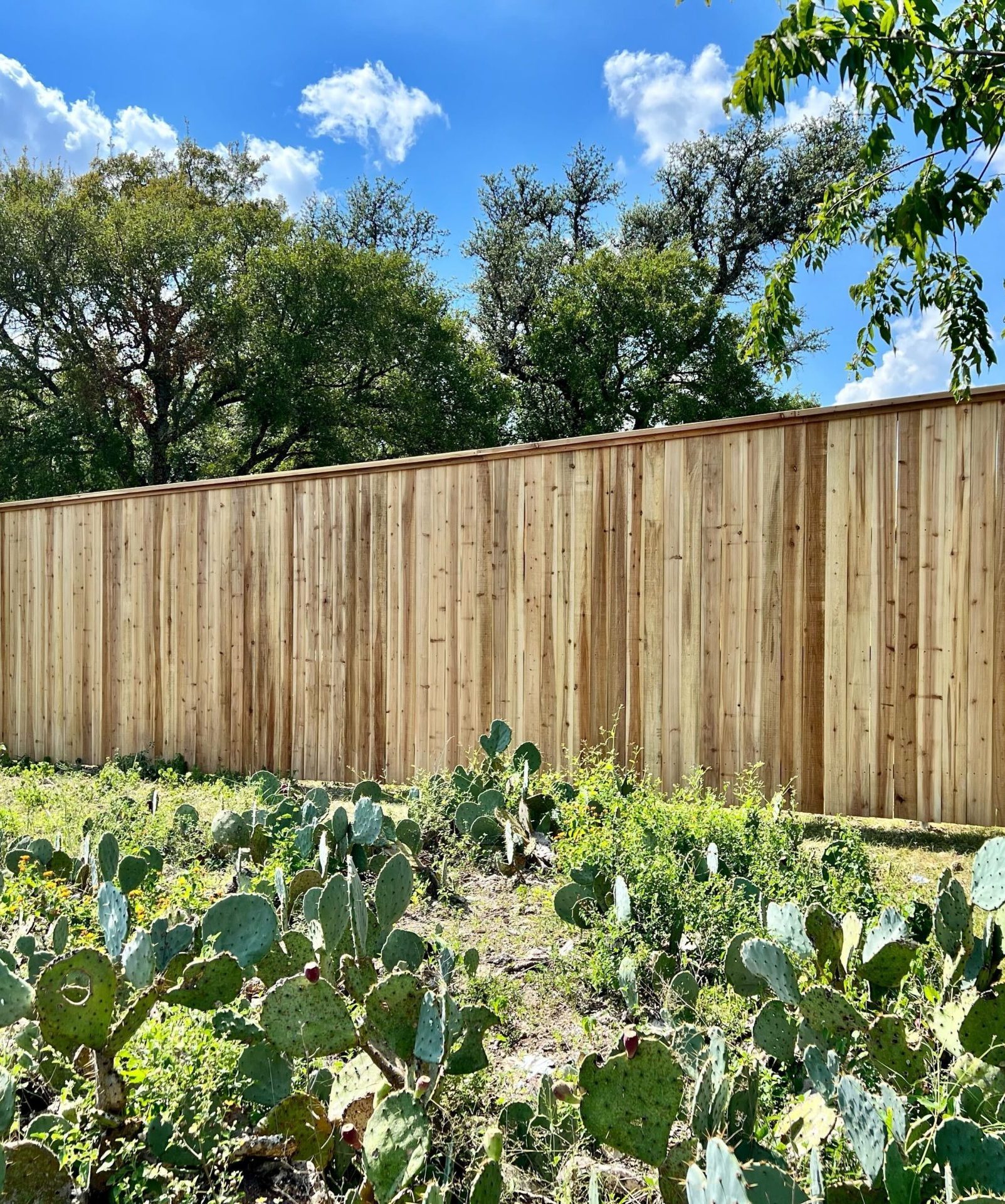 Cedar wood vertical pickets fence installation in Austin