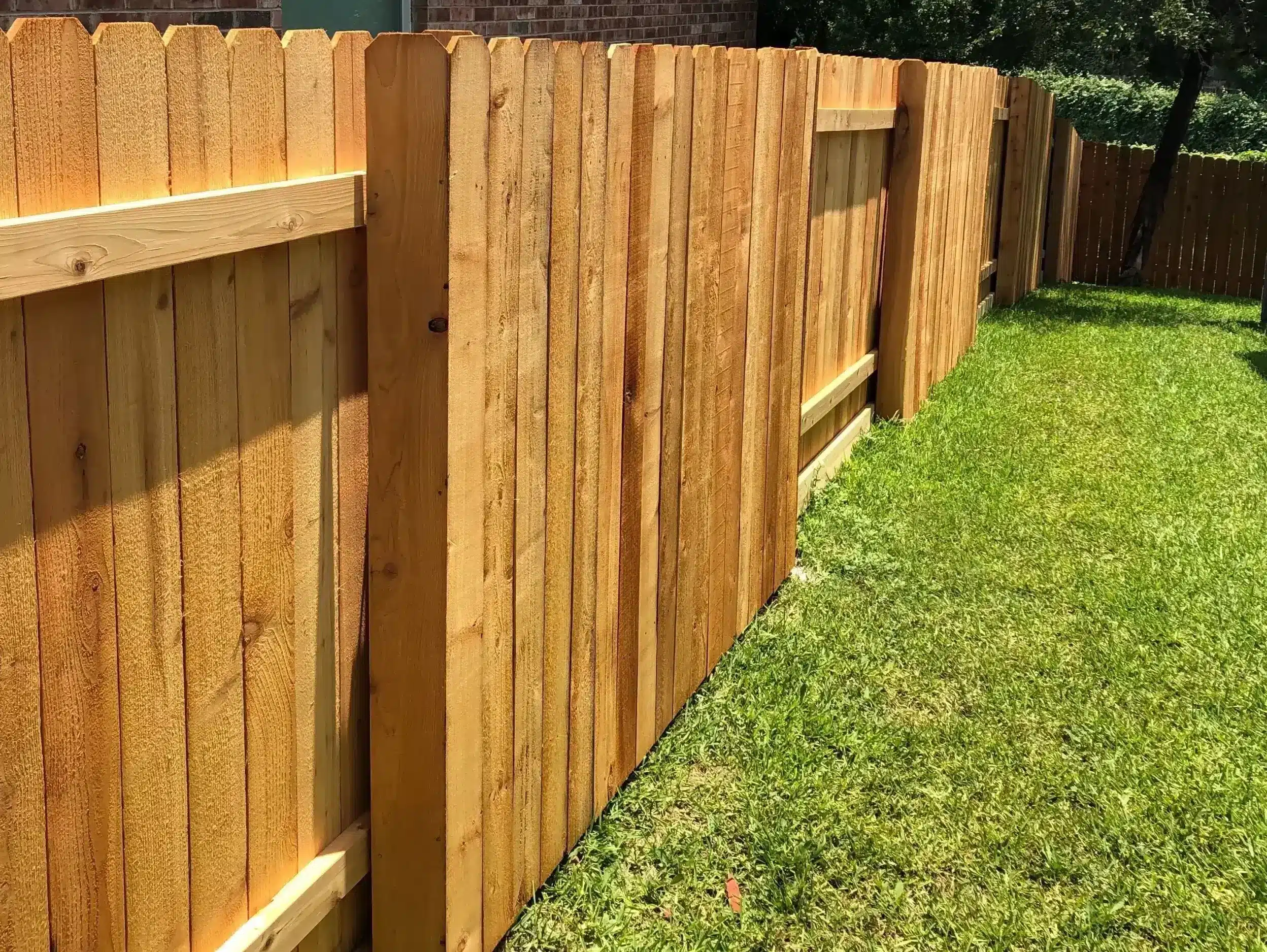 Cedar wood good neighbor fence in an Austin backyard