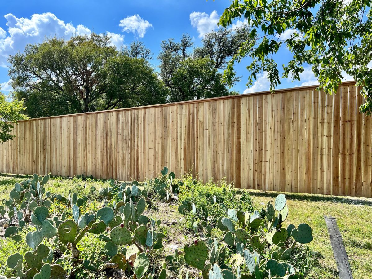 Cedar privacy fence with cup board, slightly lifted off the ground on a backyard filled with cacti in Austin