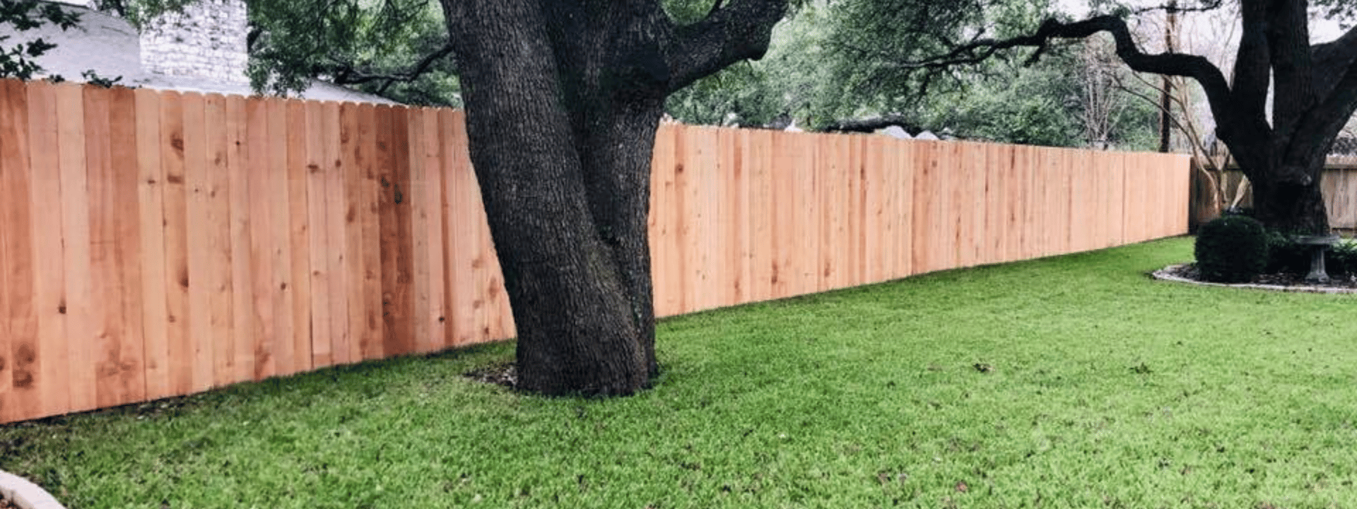 Wood fence on a big backyard of a house in Austin with two beautiful big tree roots along the fence