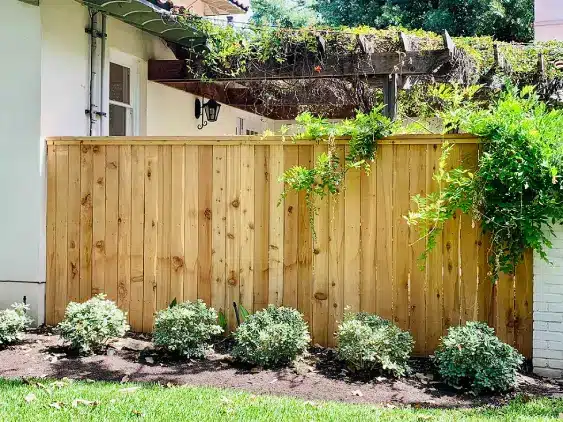 Flat top cedar wood fence with plants in front and greenery draping on the side of the fence in an Austin property
