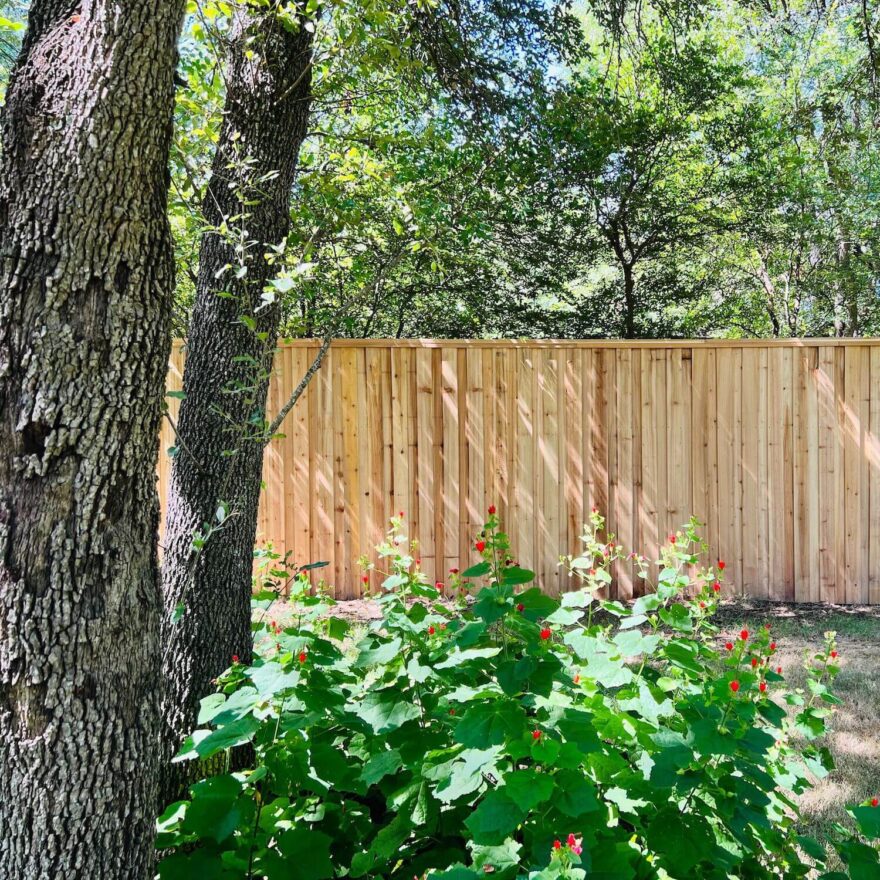 Board on Board Fences The Fence Type for Ultimate Privacy